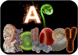 AP Biology